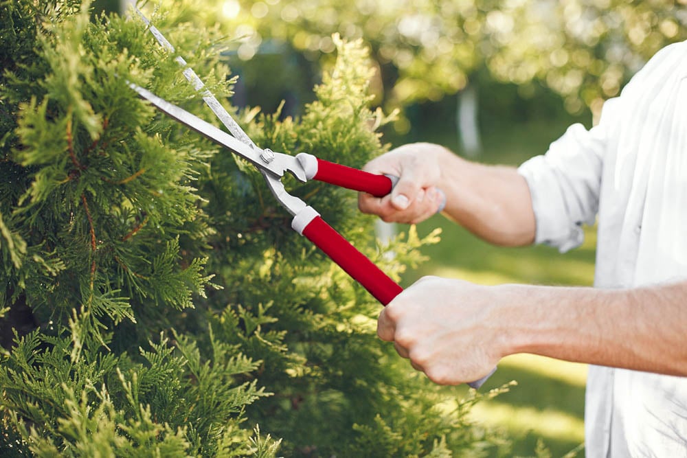 homem-a-fazer-jardinagem-com-uma-tesoura-vermelha