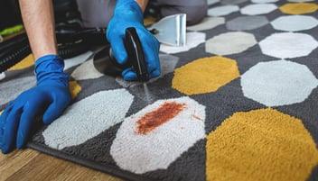 Como tirar manchas de carpete e tapete: dicas eficazes