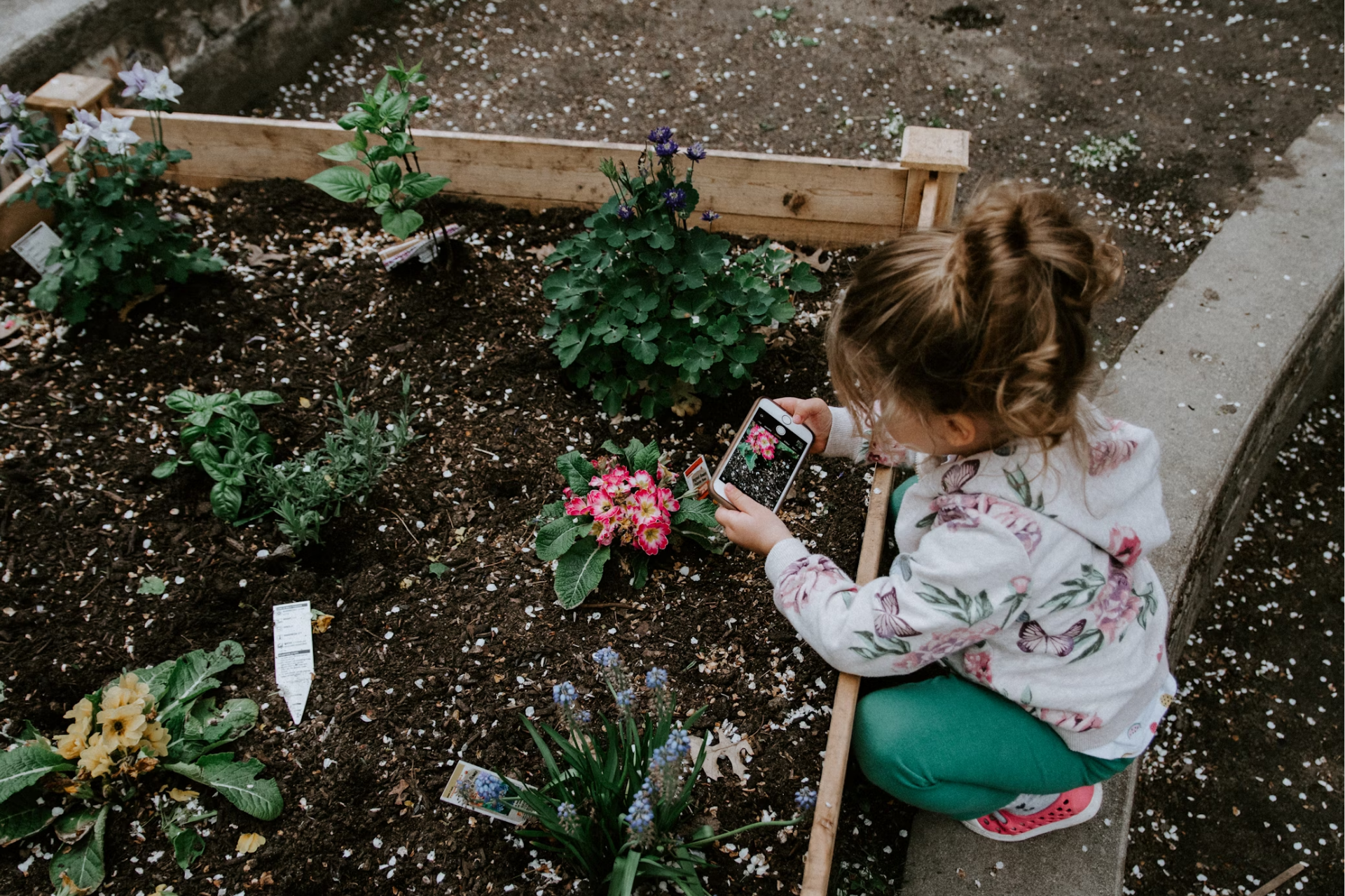 Empresa de jardinagem: como escolher?